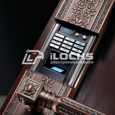 Умный дверной замок с отпечатком пальца F5100 Red Copper