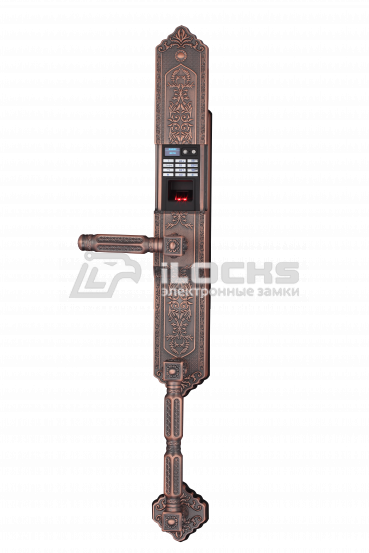 Умный дверной замок с отпечатком пальца F5100 Red Copper
