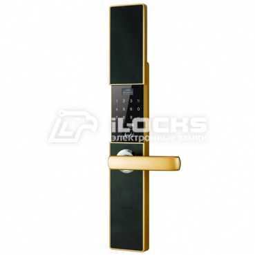 Биометрический замок V5b Champagne